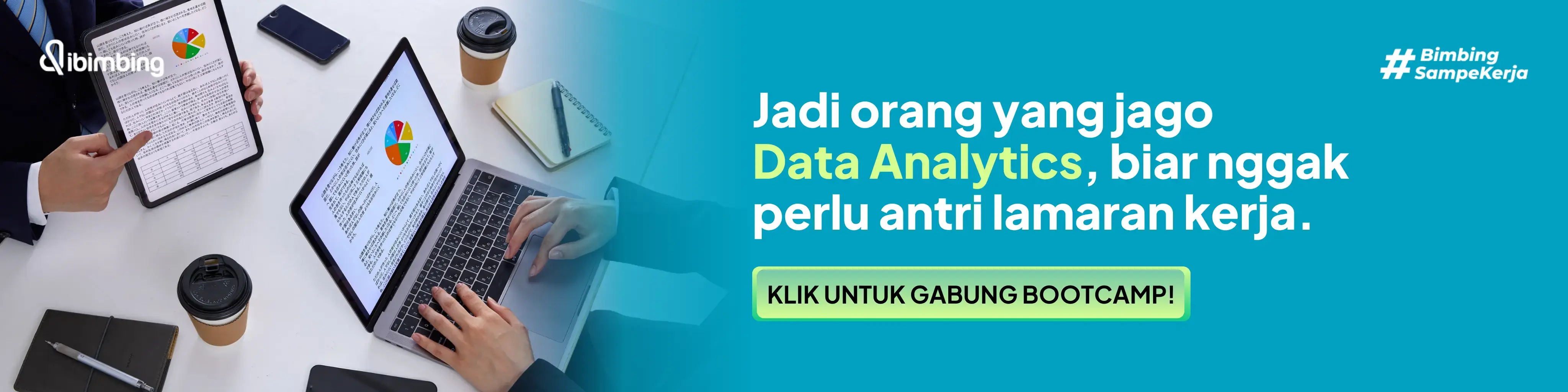 Bootcamp Data Analytics Offline