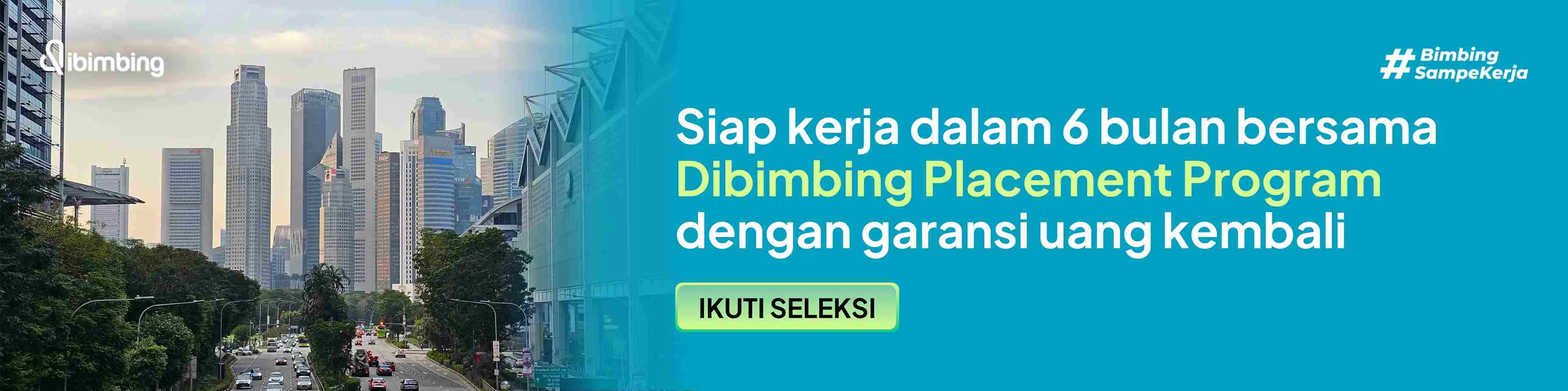 Dibimbing Placement Program