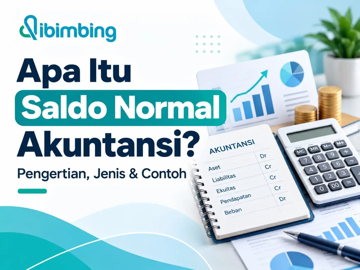 Saldo Normal Akuntansi: Pengertian, Jenis & Contoh