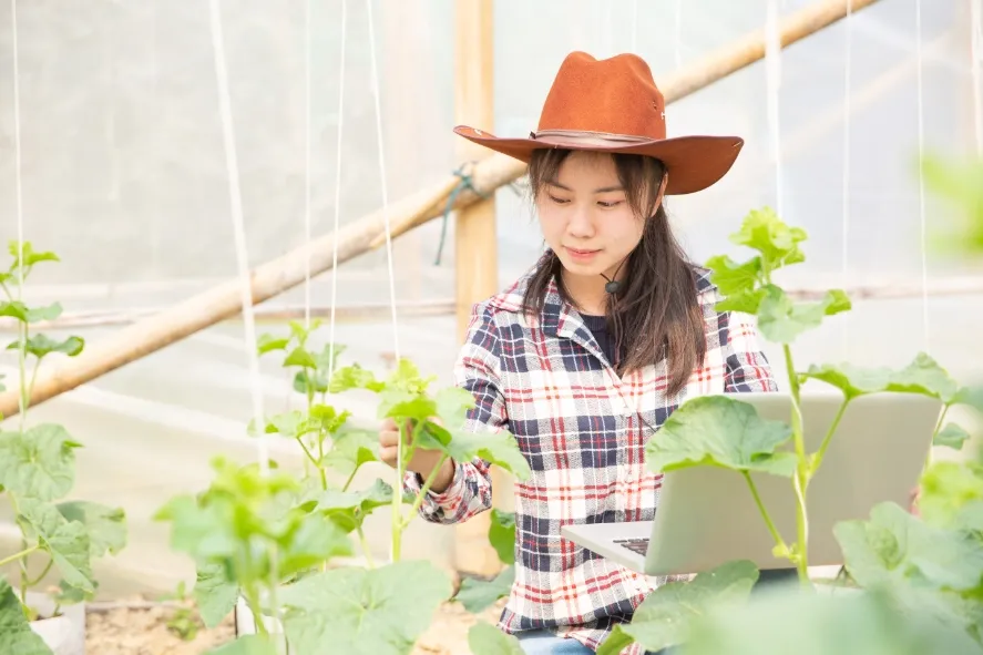 Agribisnis Saintek atau Soshum