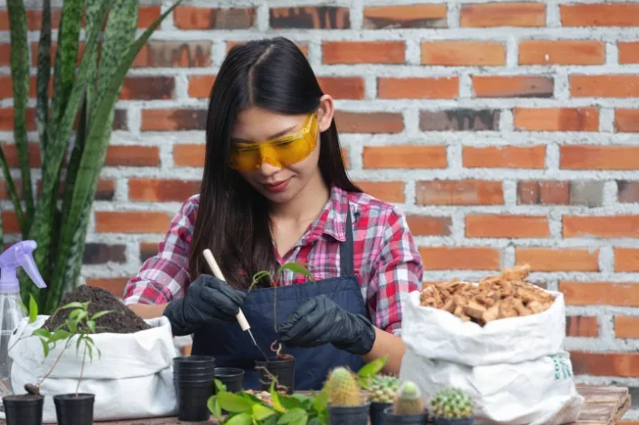 10 Jurusan yang Berhubungan dengan Tanaman