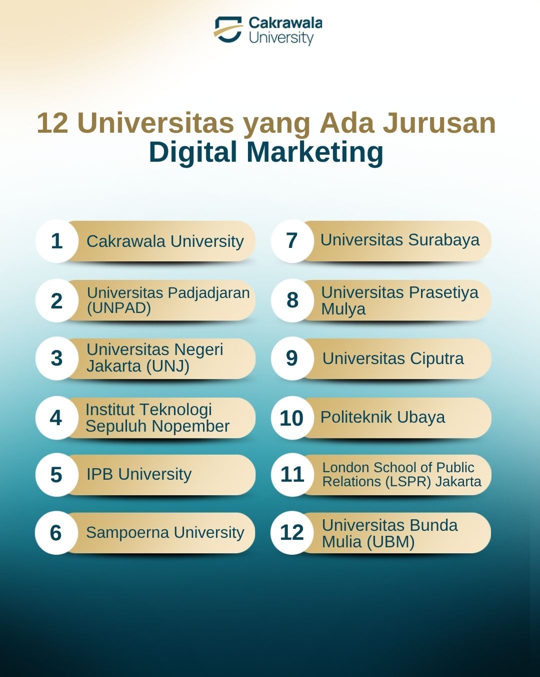12 Universitas yang Ada Jurusan Digital Marketing