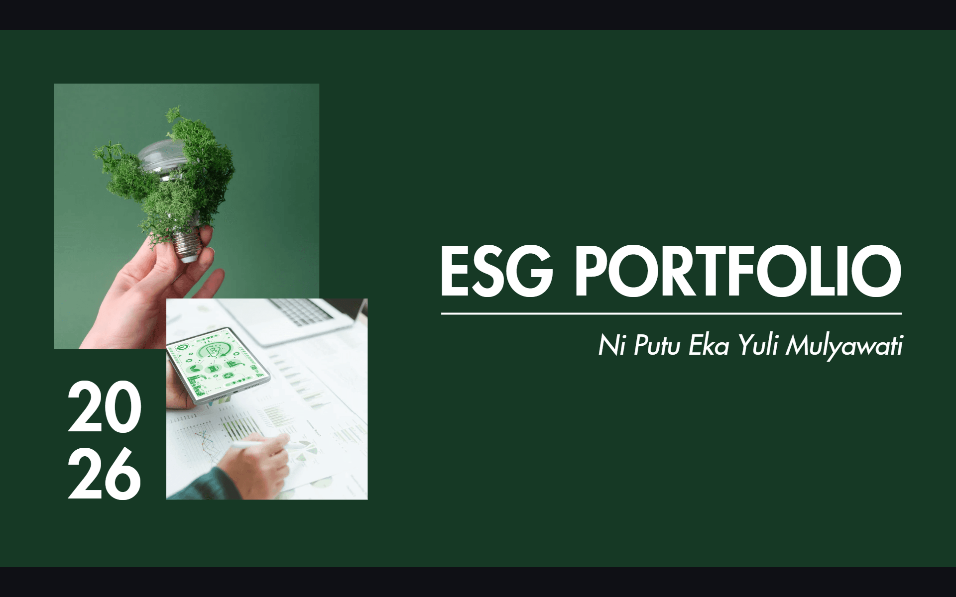 Portfolio Image